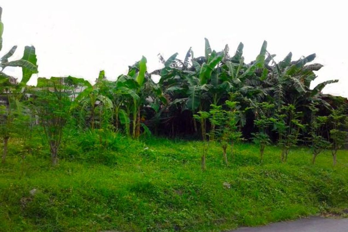 Land for Sale in Don Bosco, Parañaque, Metro Manila