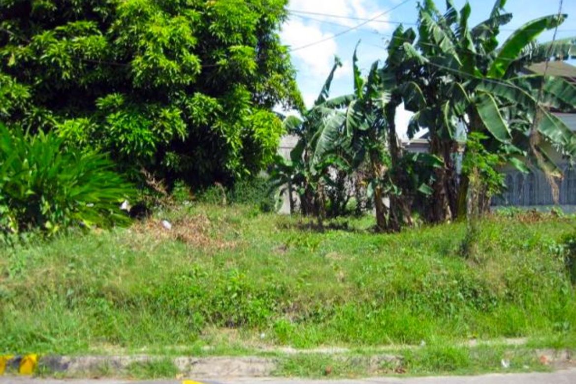 Land for Sale in Don Bosco, Parañaque, Metro Manila – photo 4
