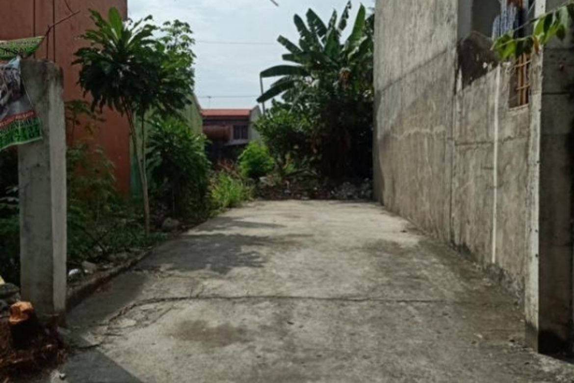 Land for Sale in Don Bosco, Parañaque, Metro Manila
