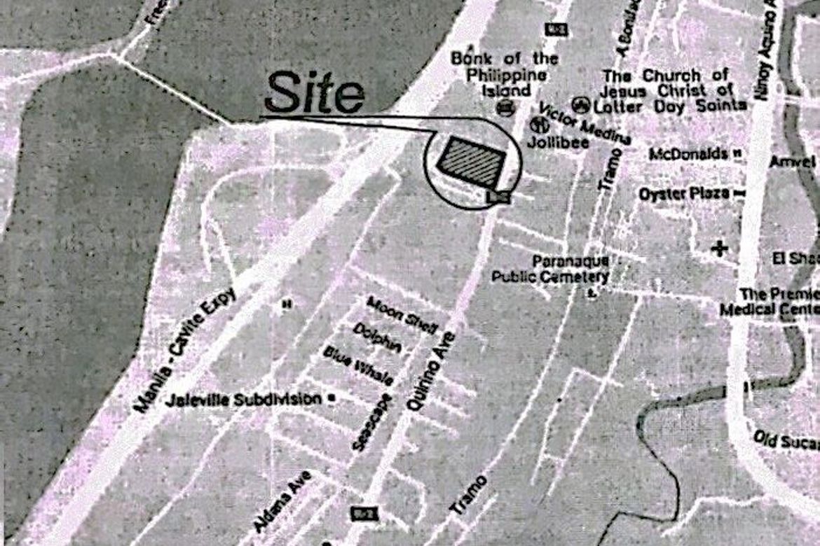 Land for Sale in Don Galo, Parañaque, Metro Manila – photo 2
