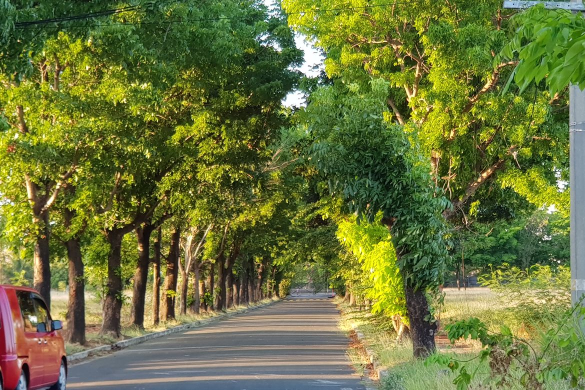 Land for Sale in Don Galo, Parañaque, Metro Manila – photo 5