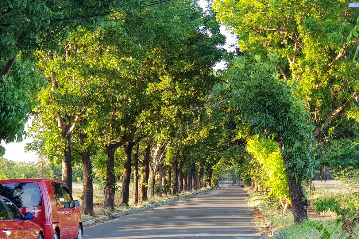 Land for Sale in Don Galo, Parañaque, Metro Manila – photo 7
