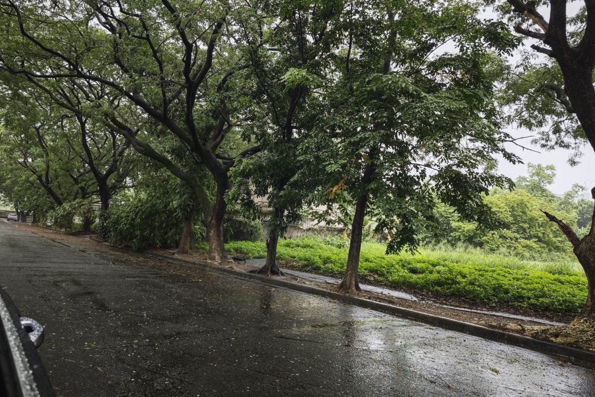 Land for Sale in Don Galo, Parañaque, Metro Manila – photo 3