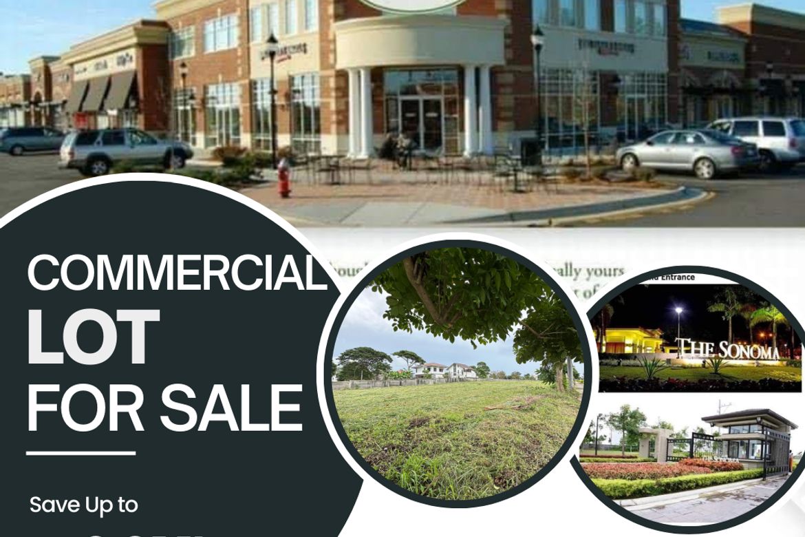 Land for Sale in Don Jose, Santa Rosa, Laguna