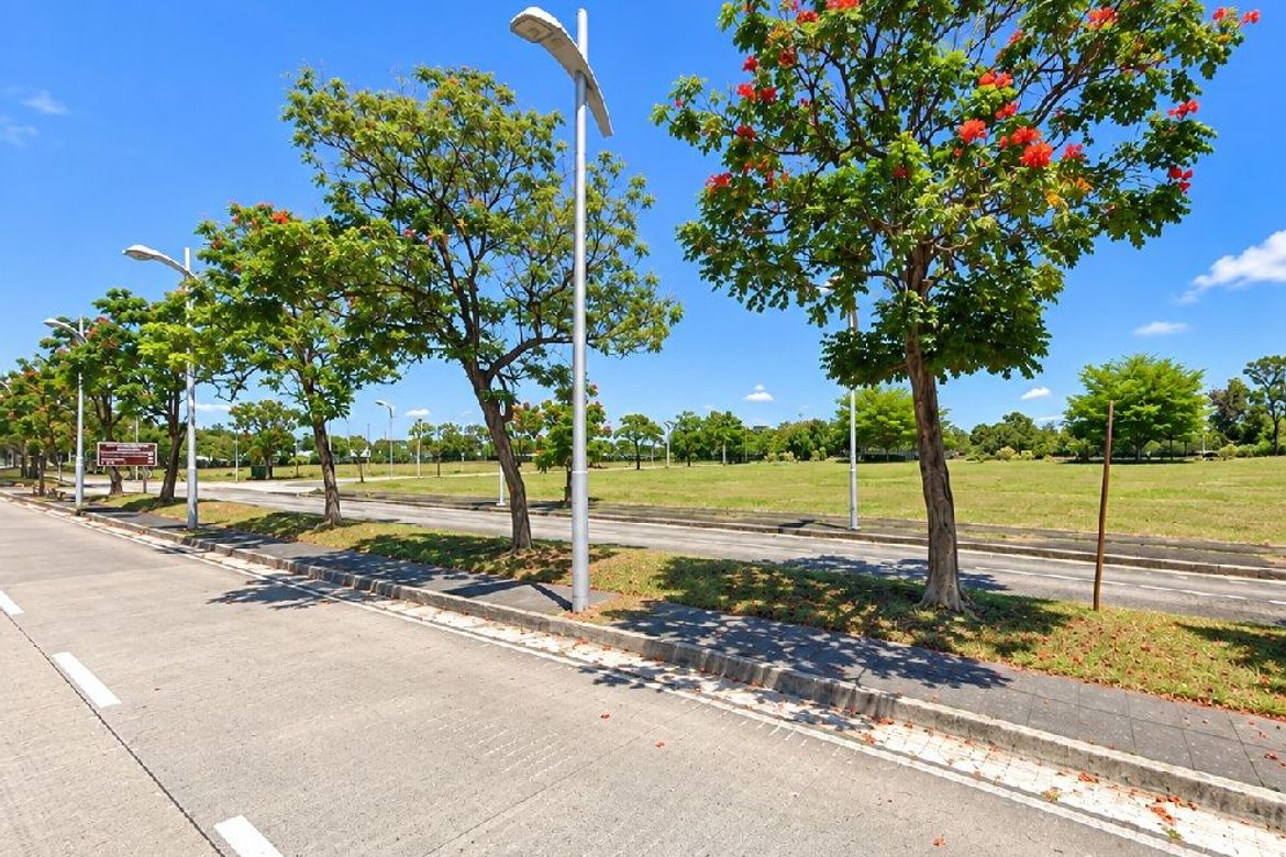 Land for Sale in Don Jose, Santa Rosa, Laguna – photo 7