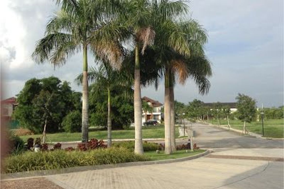 Land for Sale in Don Jose, Santa Rosa, Laguna