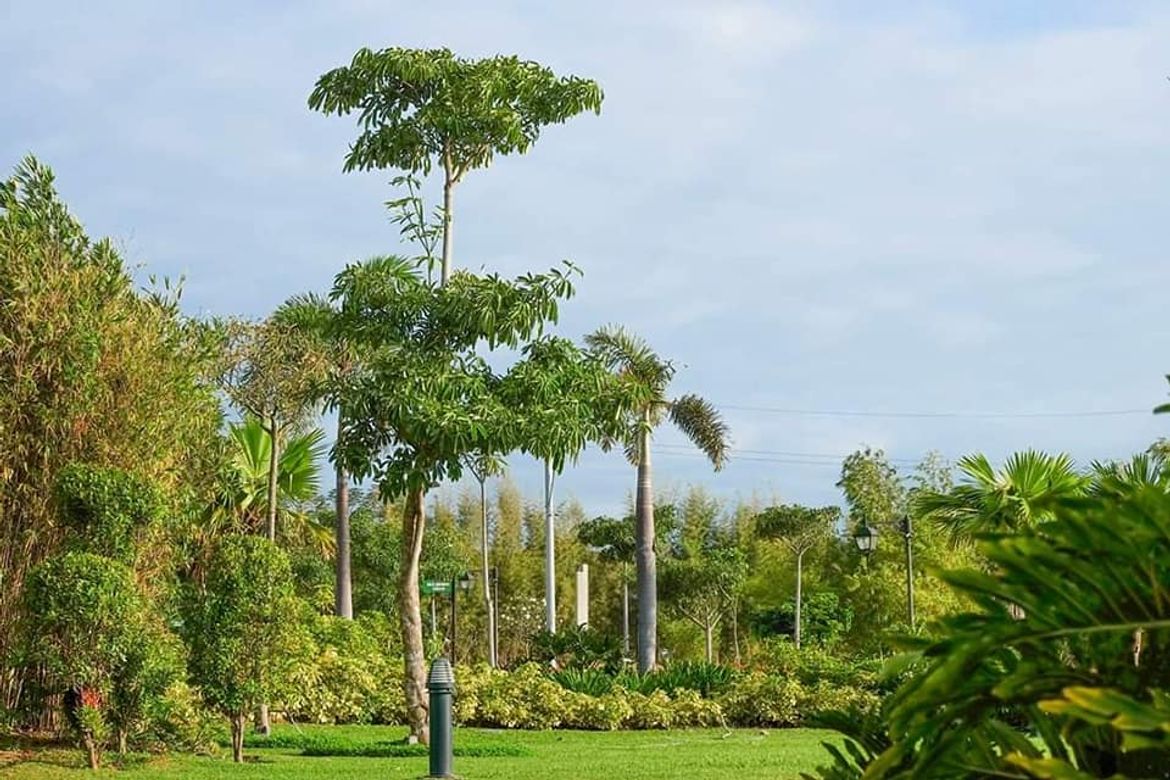Land for Sale in Don Jose, Santa Rosa, Laguna – photo 4