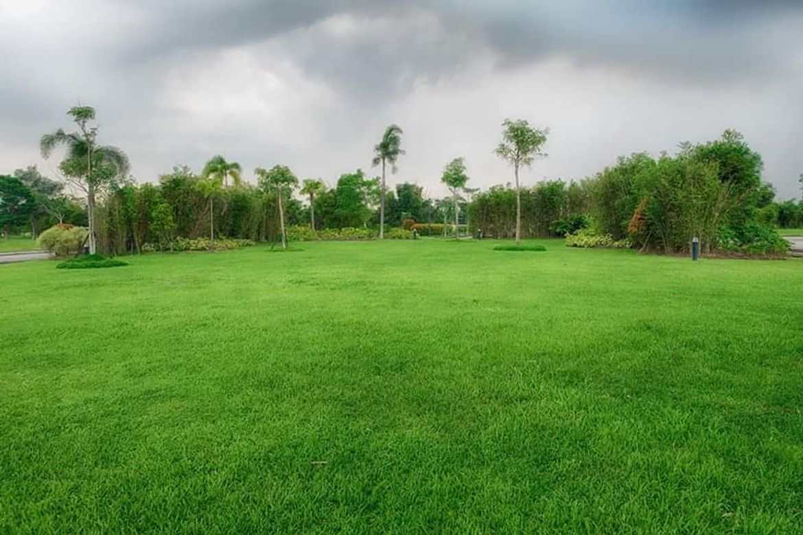 Land for Sale in Don Jose, Santa Rosa, Laguna – photo 5