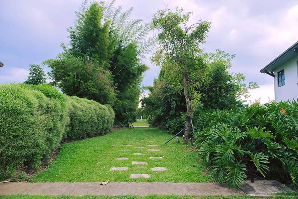 Land for Sale in Don Jose, Santa Rosa, Laguna – photo 6