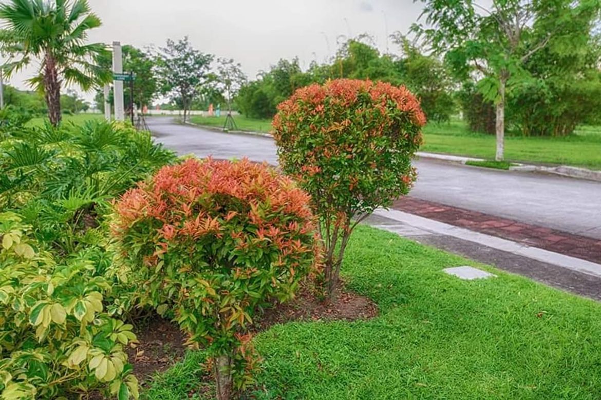 Land for Sale in Don Jose, Santa Rosa, Laguna – photo 8