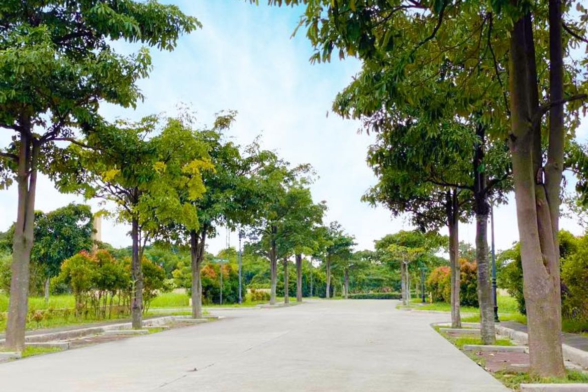 Land for Sale in Don Jose, Santa Rosa, Laguna – photo 7