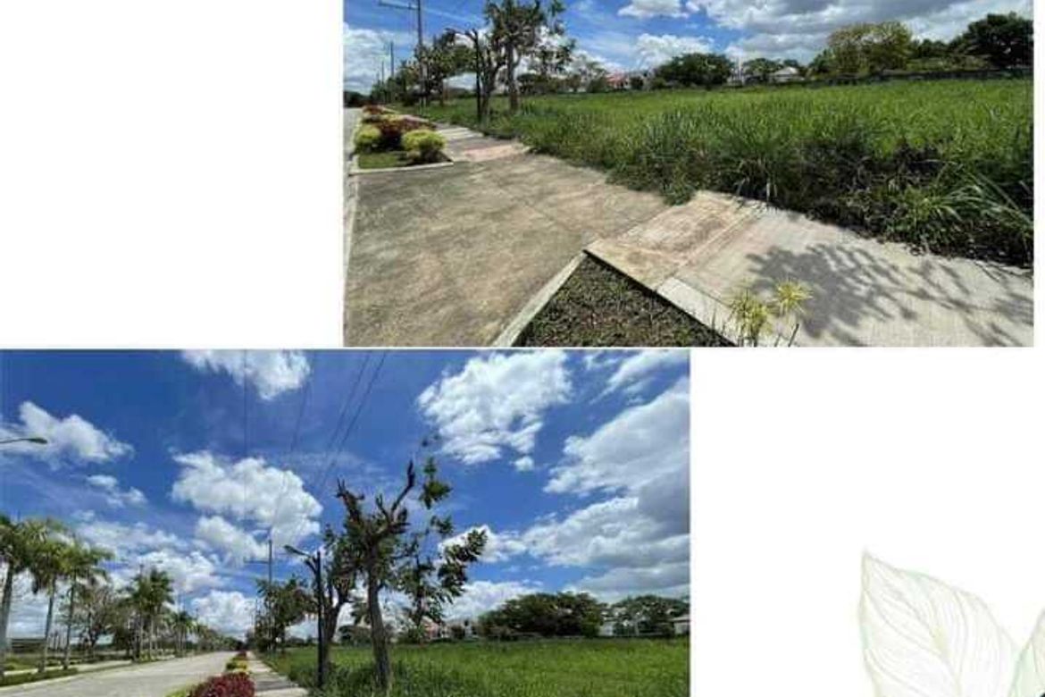 Land for Sale in Don Jose, Santa Rosa, Laguna – photo 6
