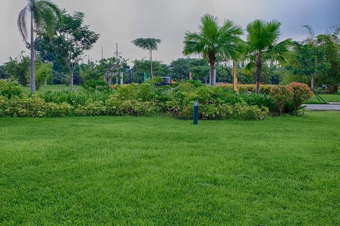 Land for Sale in Don Jose, Santa Rosa, Laguna – photo 2