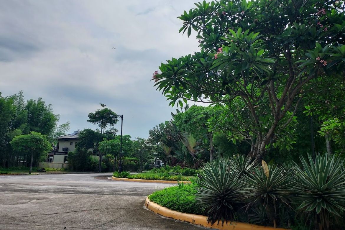 Land for Sale in Don Jose, Santa Rosa, Laguna – photo 3