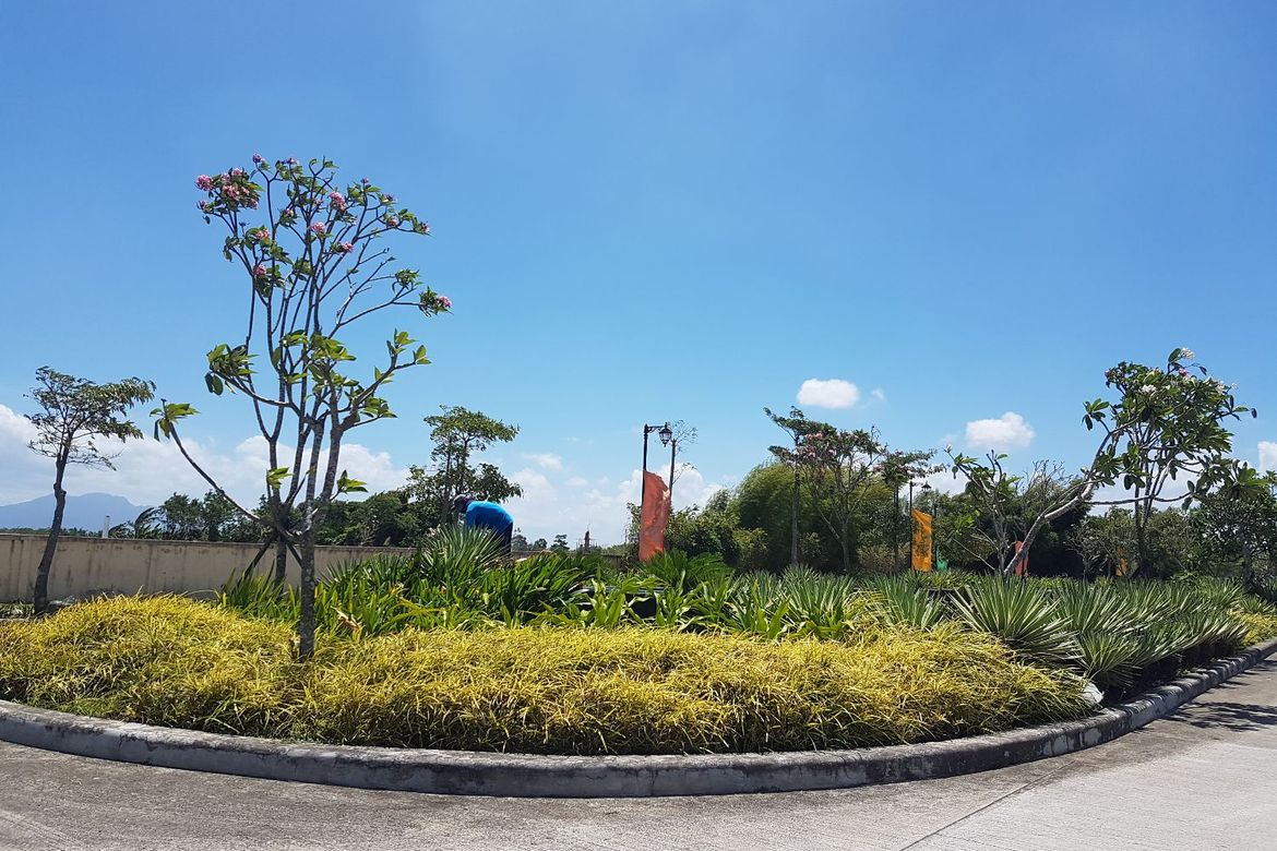 Land for Sale in Don Jose, Santa Rosa, Laguna – photo 5