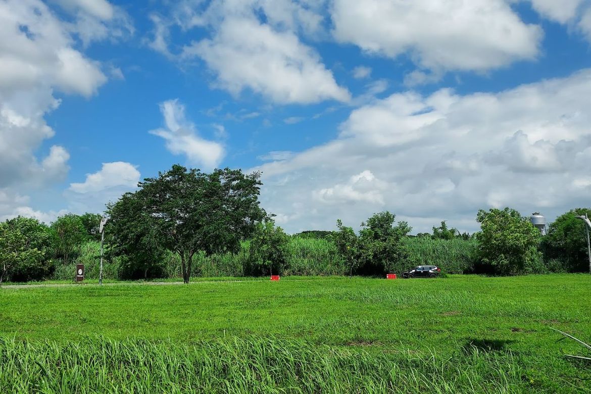 Land for Sale in Don Jose, Santa Rosa, Laguna – photo 4