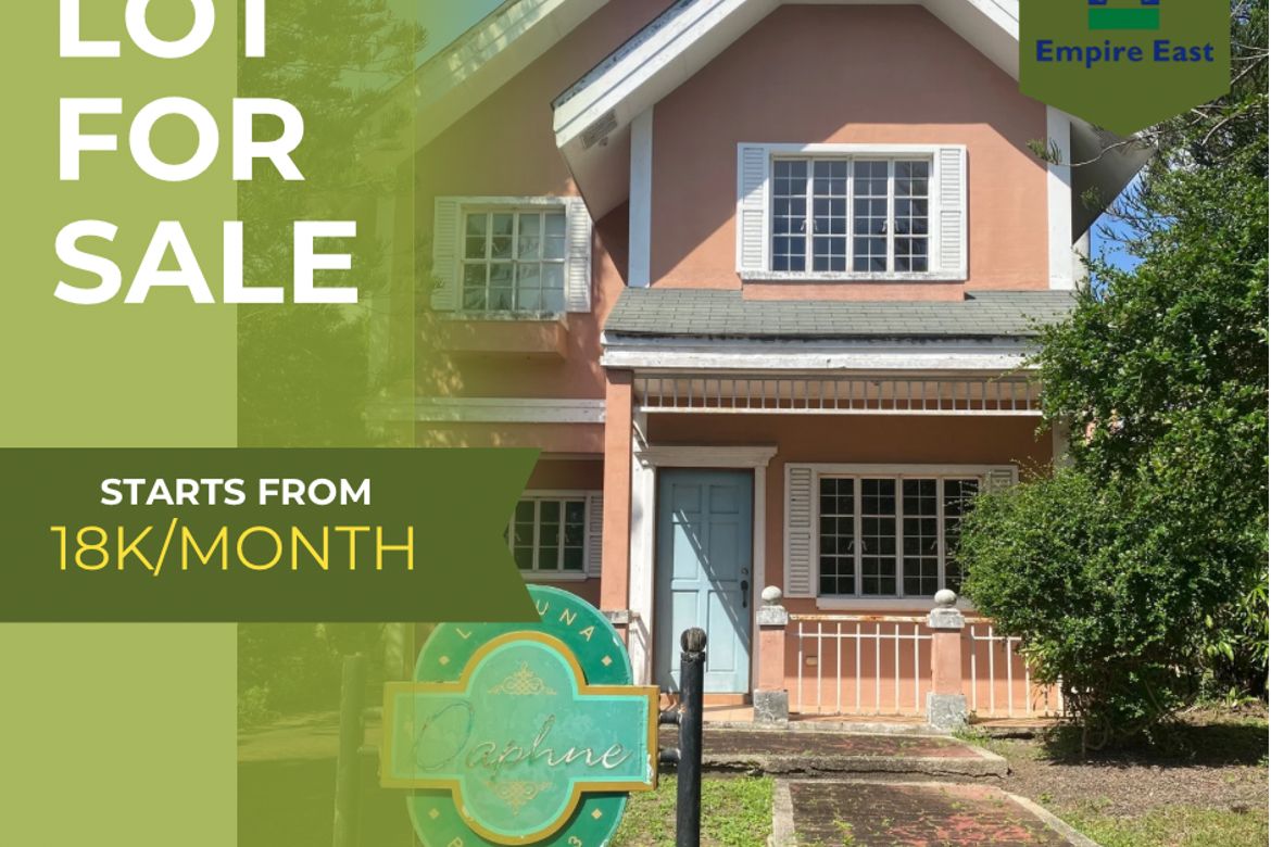 Land for Sale in Don Jose, Santa Rosa, Laguna – photo 2