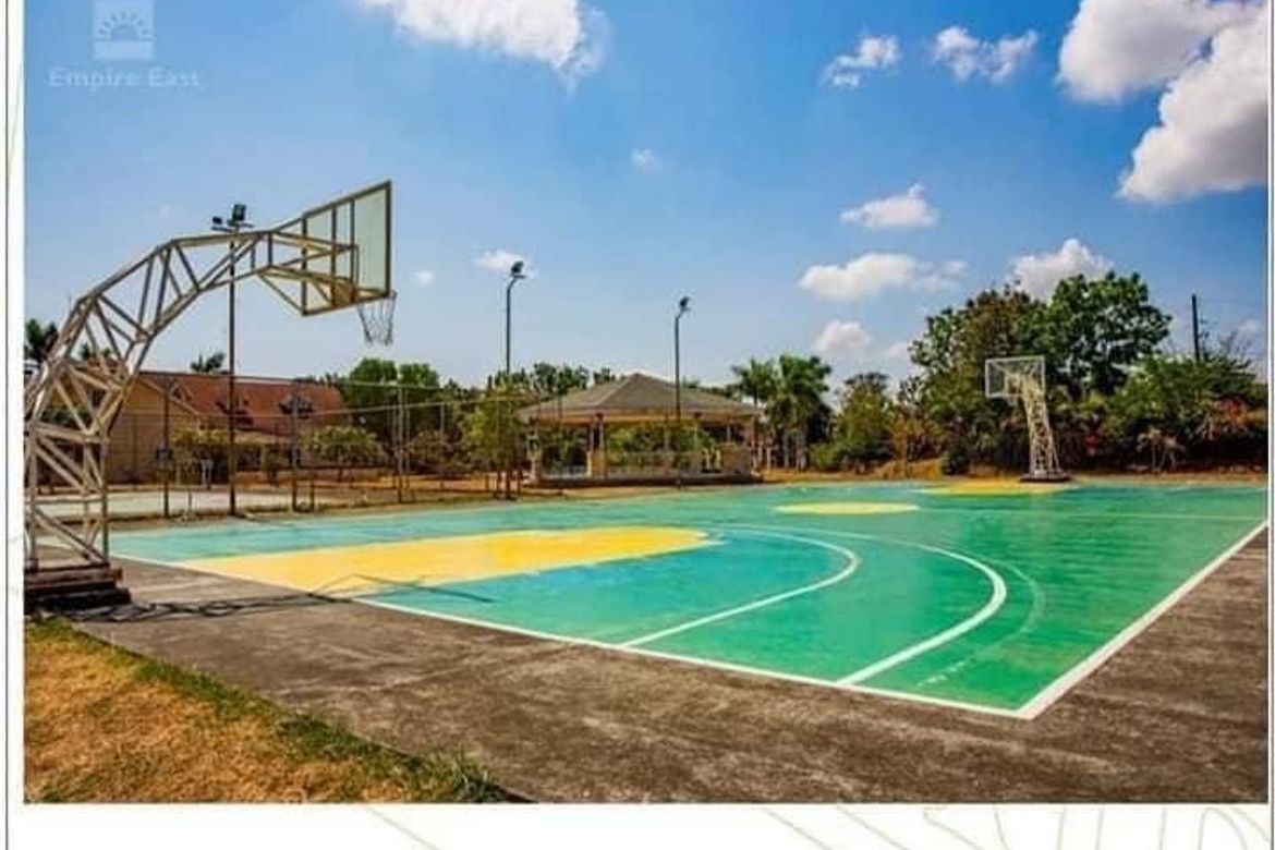 Land for Sale in Don Jose, Santa Rosa, Laguna – photo 7