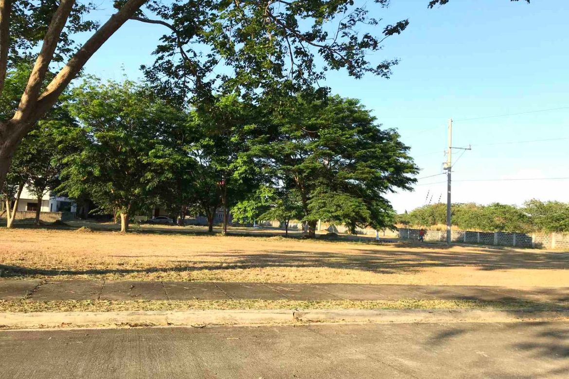 Land for Sale in Don Jose, Santa Rosa, Laguna – photo 5
