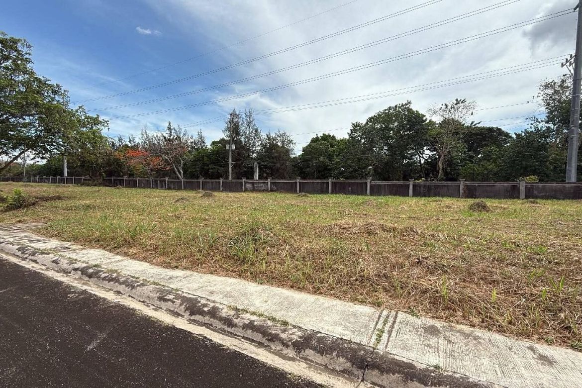 Land for Sale in Don Jose, Santa Rosa, Laguna – photo 7
