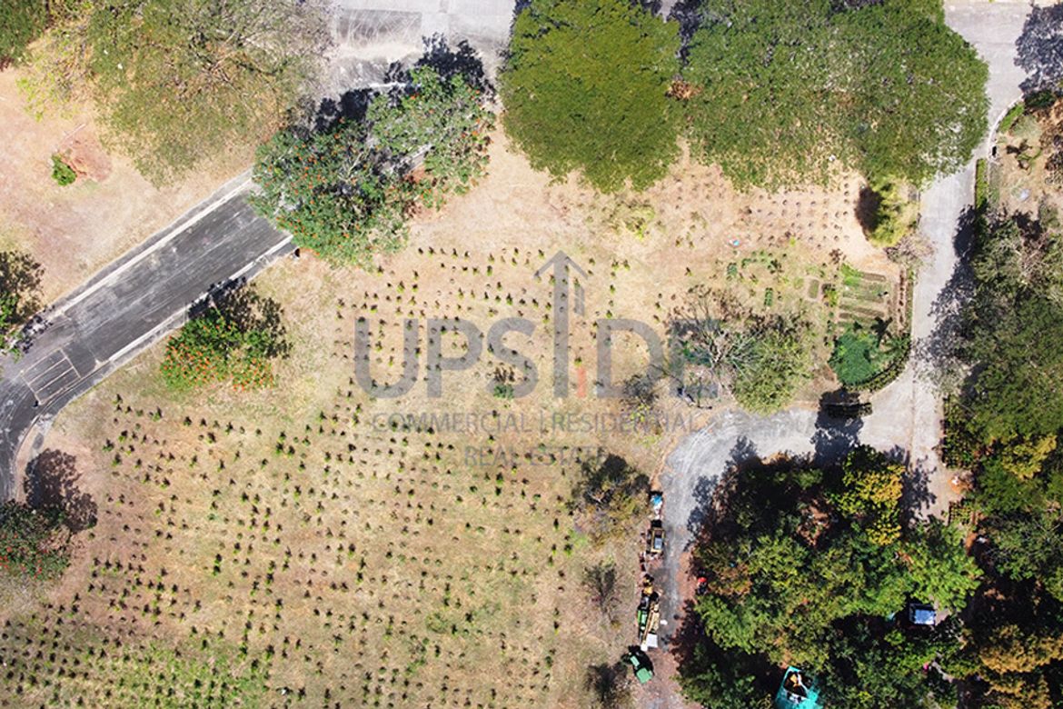 Land for Sale in Don Jose, Santa Rosa, Laguna – photo 4
