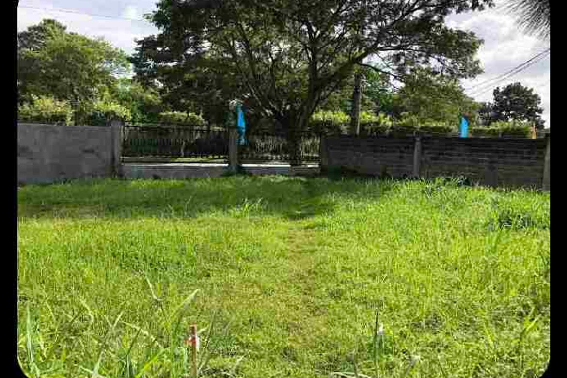 Land for Sale in Don Jose, Santa Rosa, Laguna – photo 4