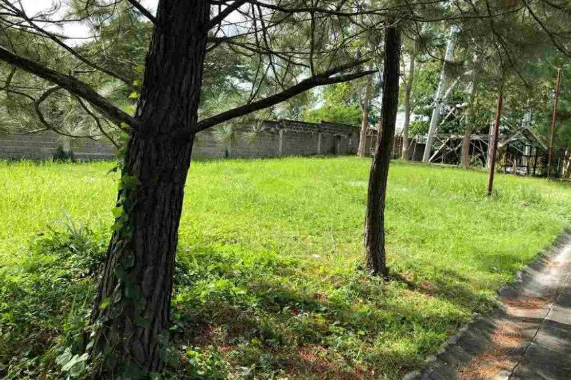 Land for Sale in Don Jose, Santa Rosa, Laguna – photo 5
