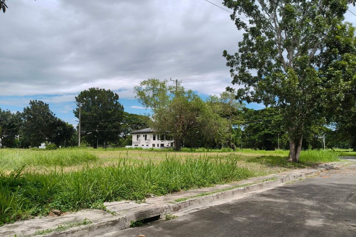 Land for Sale in Don Jose, Santa Rosa, Laguna – photo 3