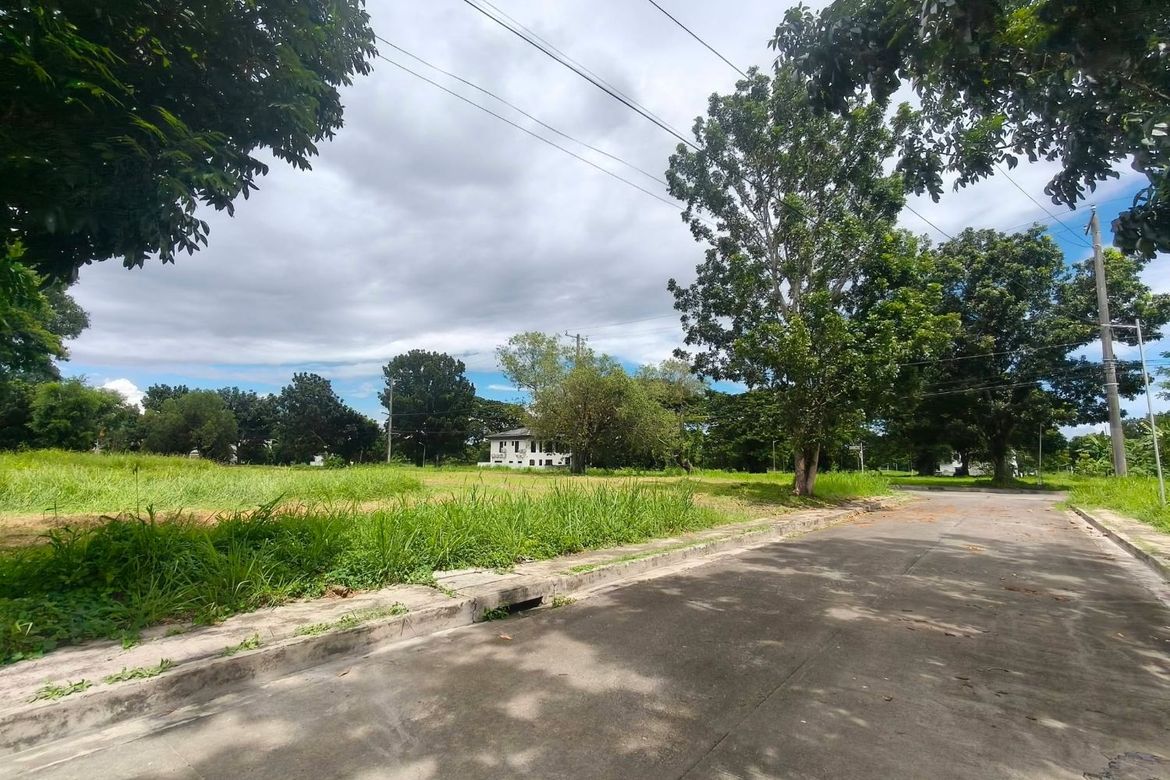 Land for Sale in Don Jose, Santa Rosa, Laguna – photo 4