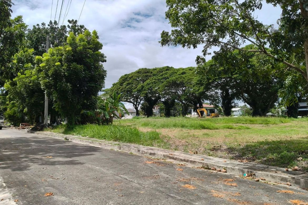 Land for Sale in Don Jose, Santa Rosa, Laguna – photo 5