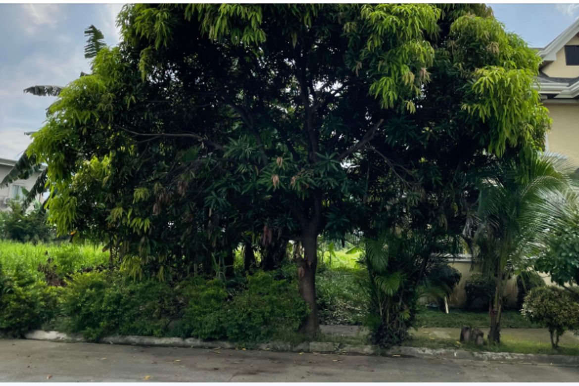 Land for Sale in Don Jose, Santa Rosa, Laguna – photo 3