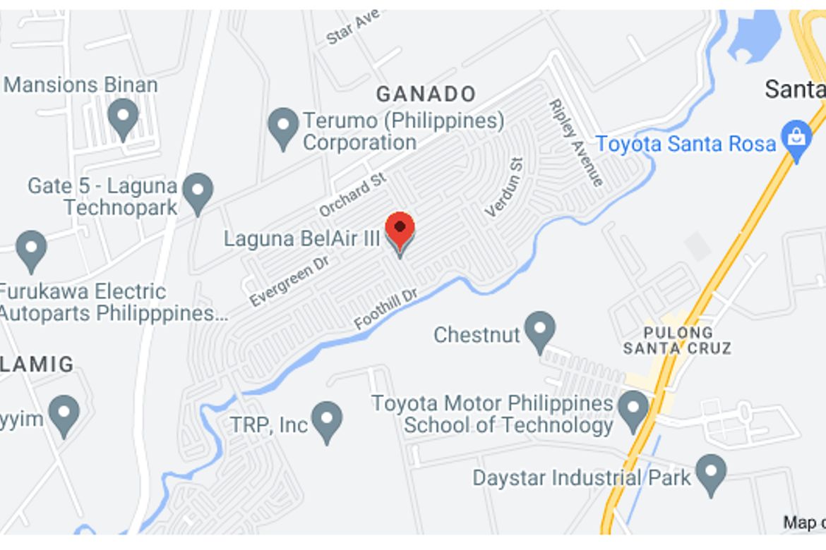 Land for Sale in Don Jose, Santa Rosa, Laguna – photo 4