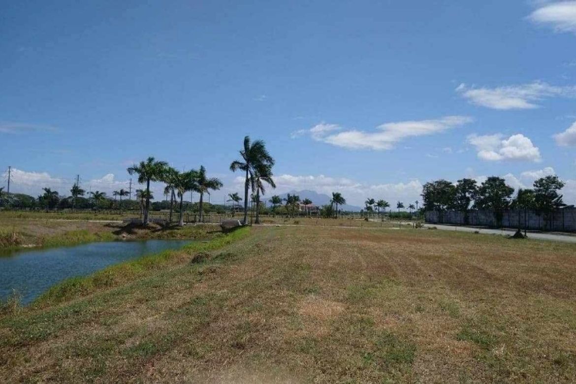 Land for Sale in Don Jose, Santa Rosa, Laguna – photo 5