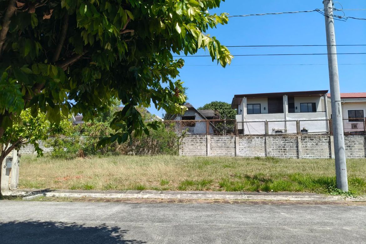 Land for Sale in Don Jose, Santa Rosa, Laguna – photo 5