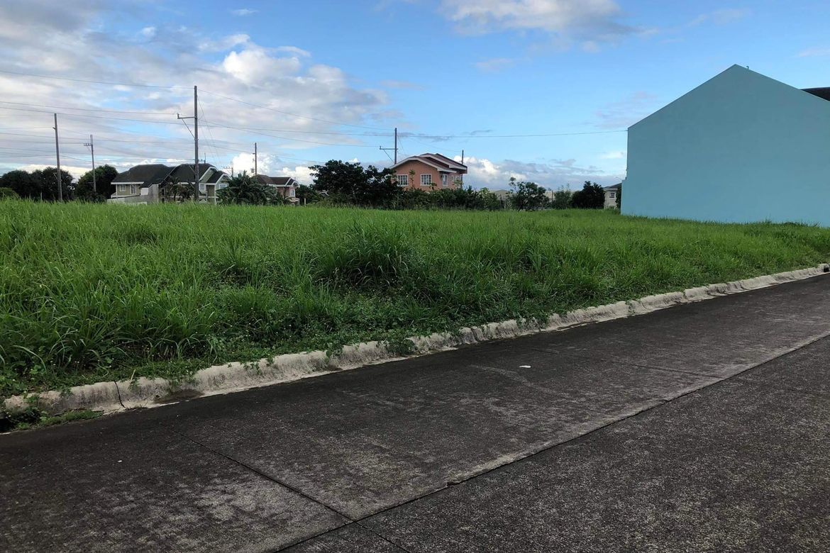 Land for Sale in Don Jose, Santa Rosa, Laguna – photo 3
