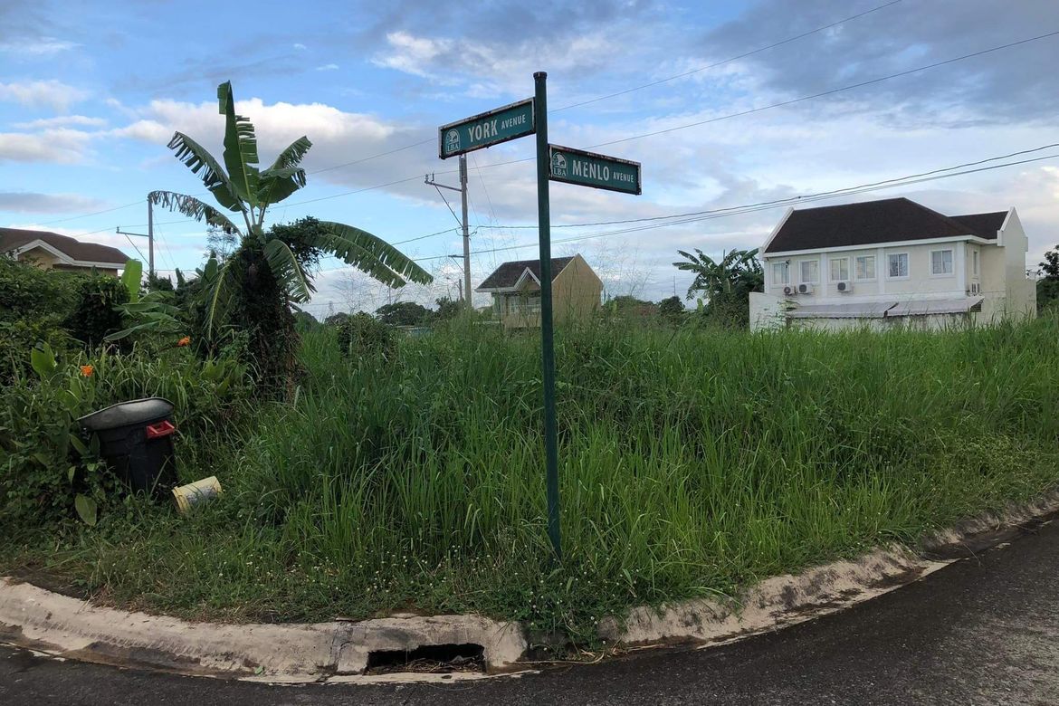 Land for Sale in Don Jose, Santa Rosa, Laguna – photo 4
