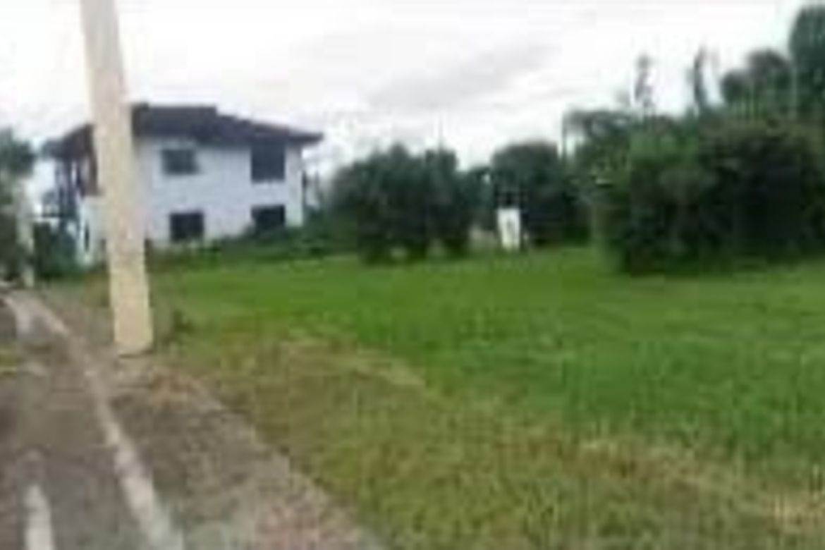 Land for Sale in Don Jose, Santa Rosa, Laguna – photo 2