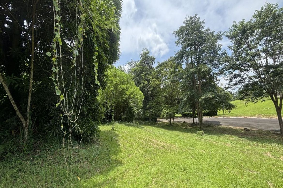 Land for Sale in Don Jose, Santa Rosa, Laguna
