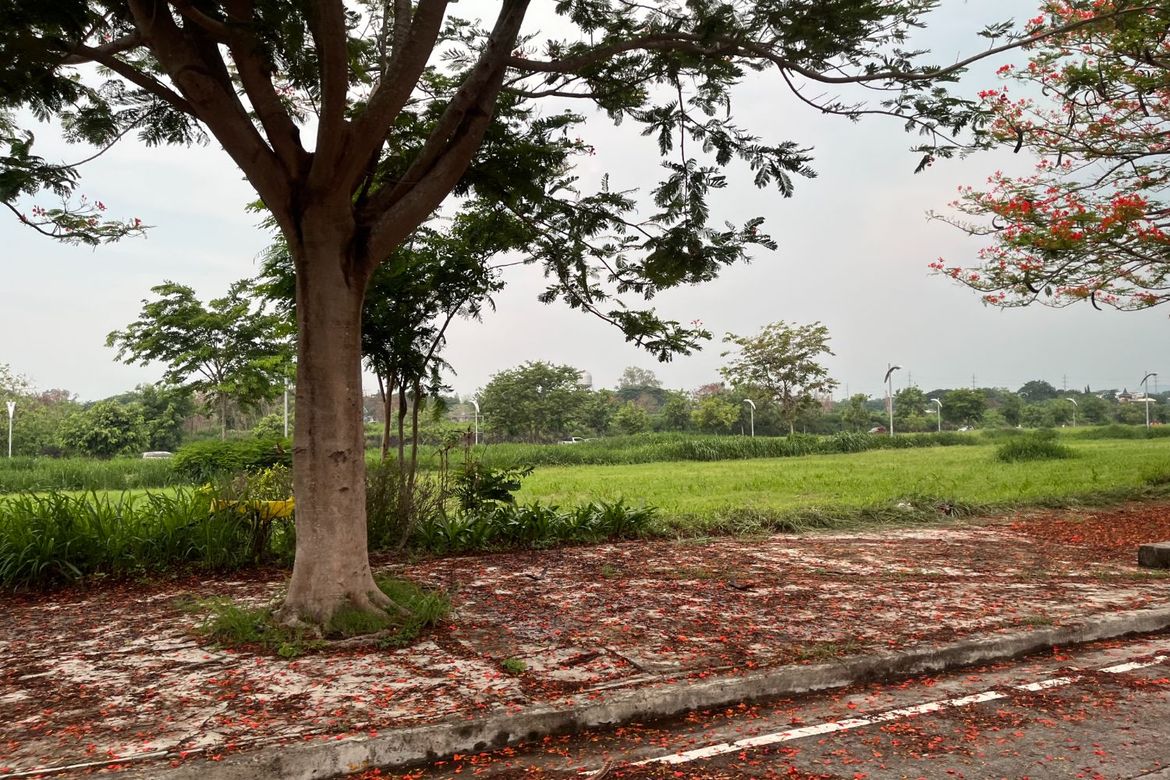 Land for Sale in Don Jose, Santa Rosa, Laguna – photo 2
