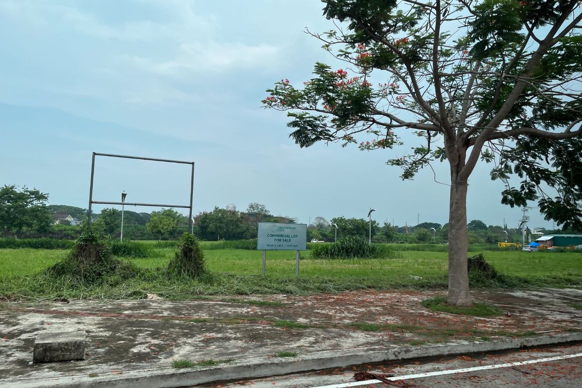 Land for Sale in Don Jose, Santa Rosa, Laguna – photo 4