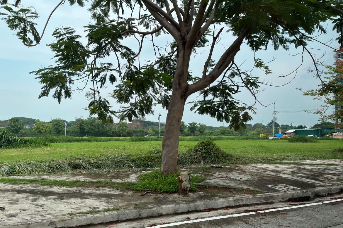 Land for Sale in Don Jose, Santa Rosa, Laguna – photo 6