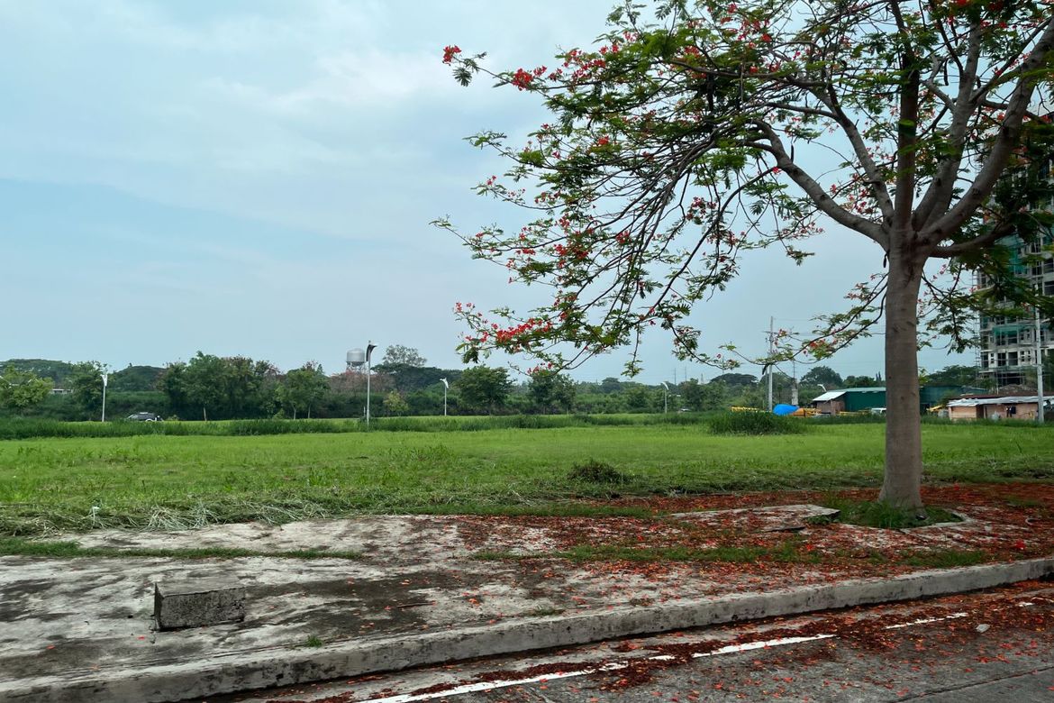 Land for Sale in Don Jose, Santa Rosa, Laguna – photo 7