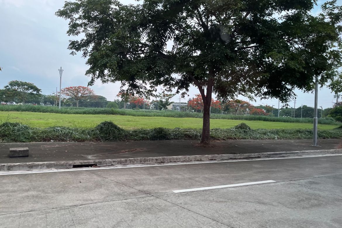 Land for Sale in Don Jose, Santa Rosa, Laguna – photo 2