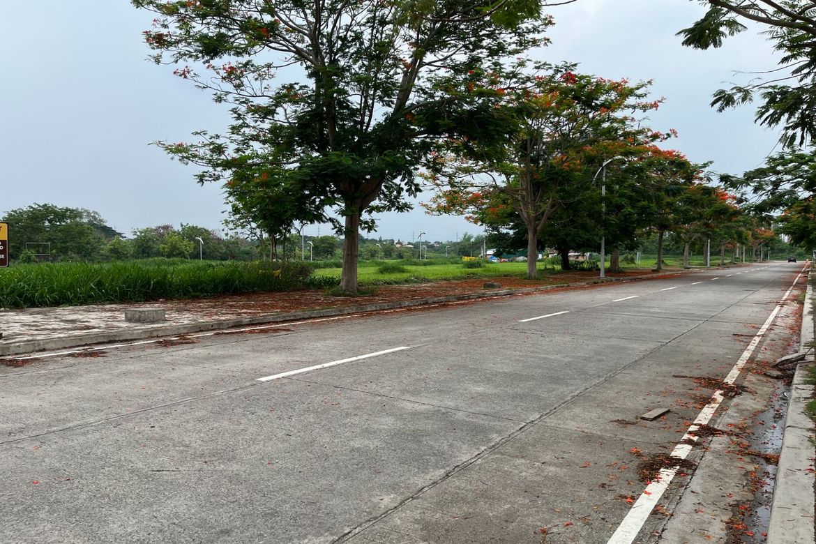 Land for Sale in Don Jose, Santa Rosa, Laguna – photo 8