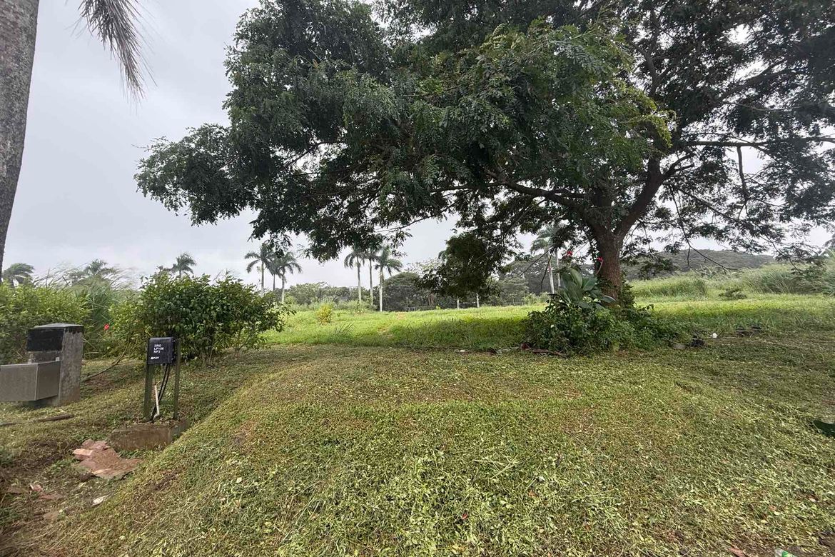 Land for Sale in Don Jose, Santa Rosa, Laguna – photo 2