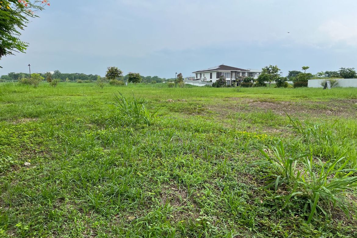 Land for Sale in Don Jose, Santa Rosa, Laguna – photo 4