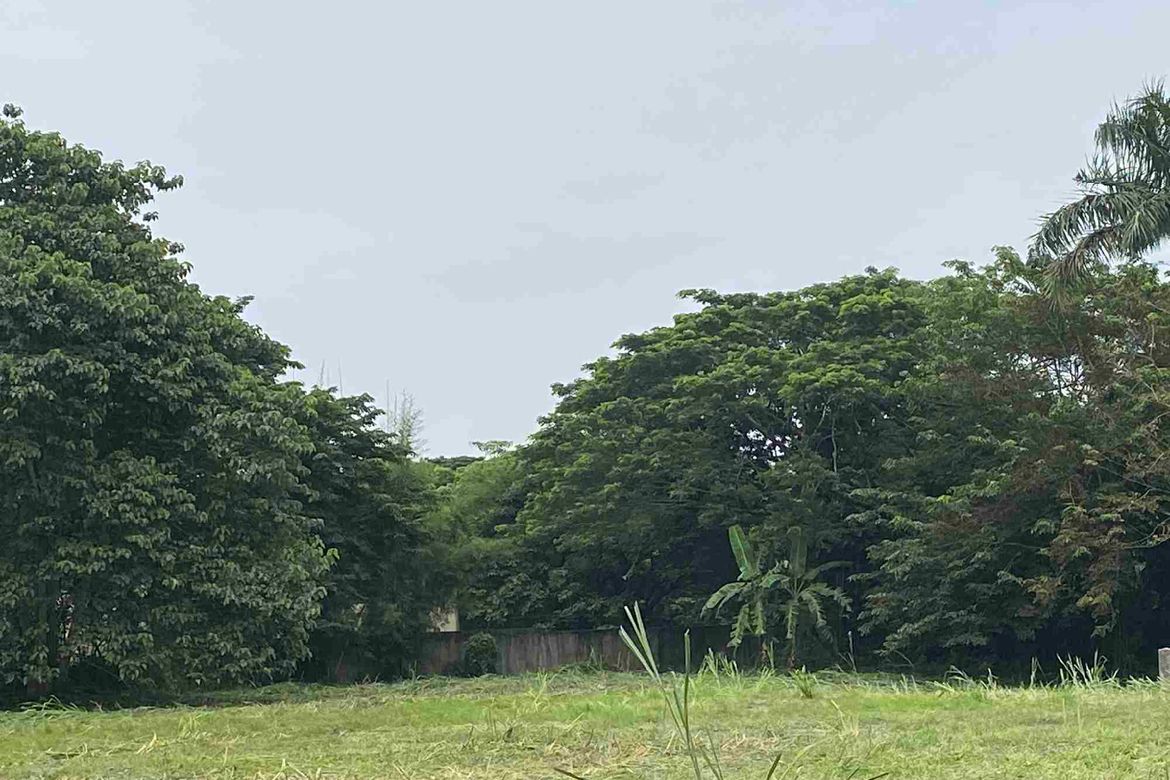 Land for Sale in Don Jose, Santa Rosa, Laguna – photo 2