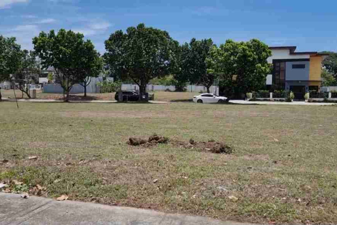 Land for Sale in Don Jose, Santa Rosa, Laguna