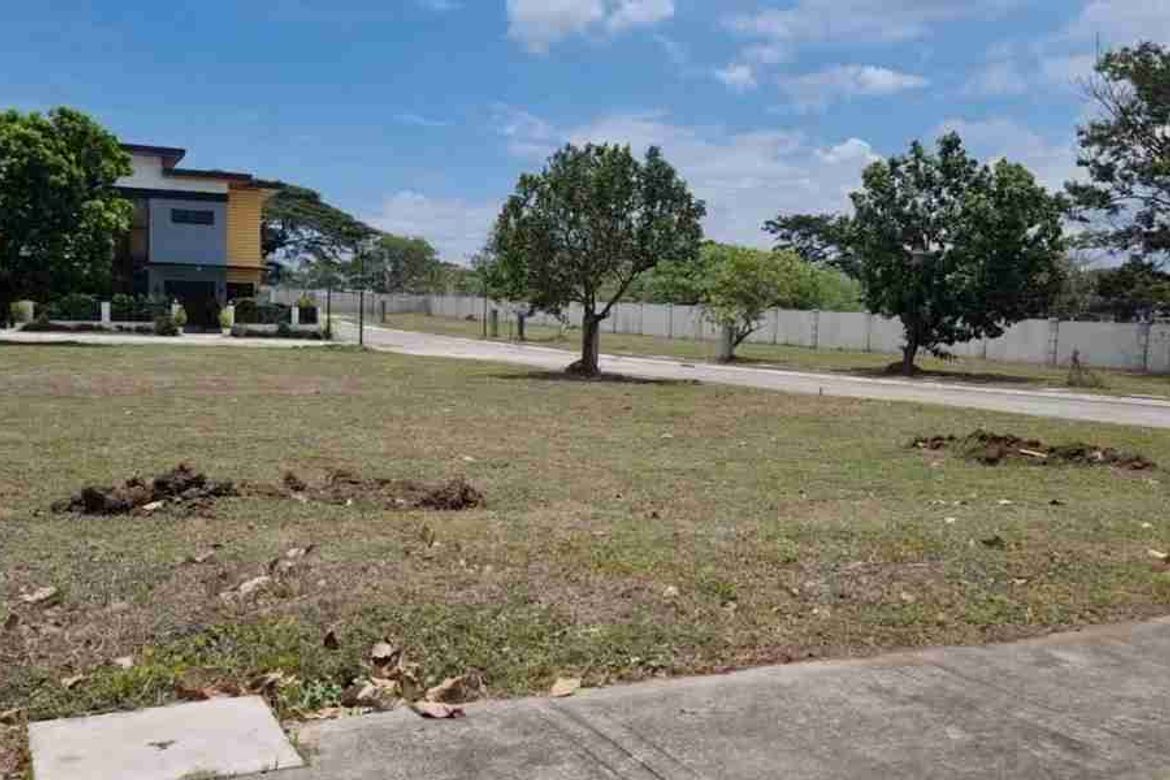 Land for Sale in Don Jose, Santa Rosa, Laguna – photo 3
