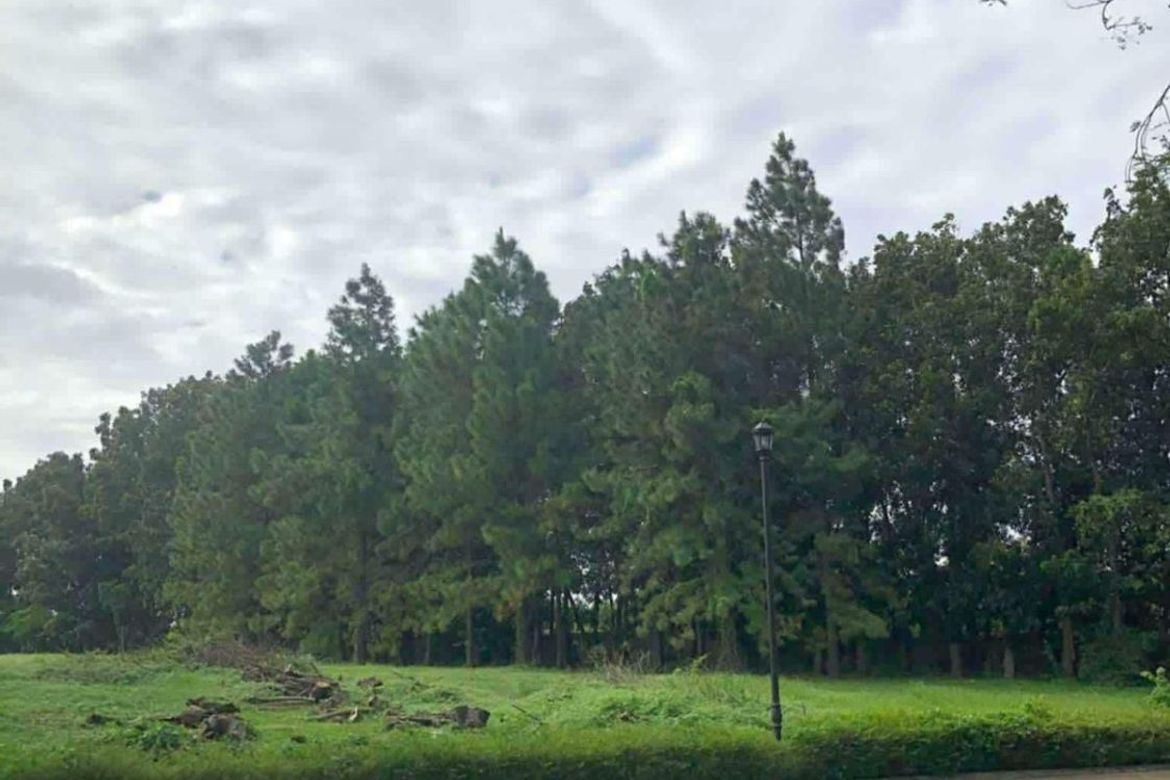 Land for Sale in Don Jose, Santa Rosa, Laguna – photo 3